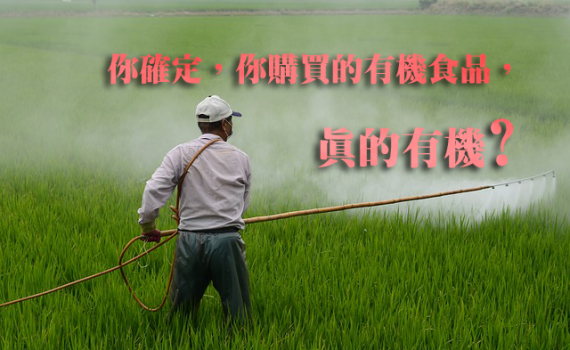 Rice_