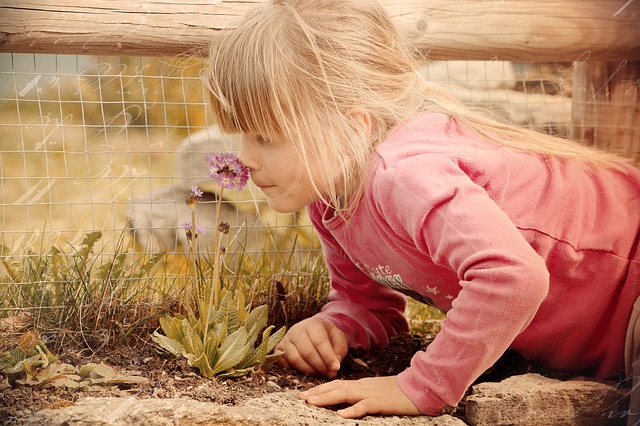 Child, Flower