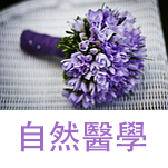 台灣推廣教育學會